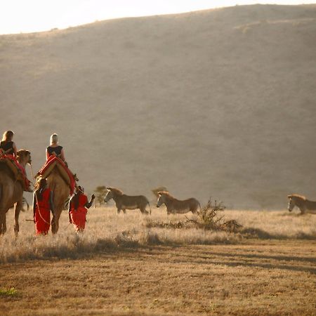 فندق Elewana Lewa Safari Camp Timau المظهر الخارجي الصورة