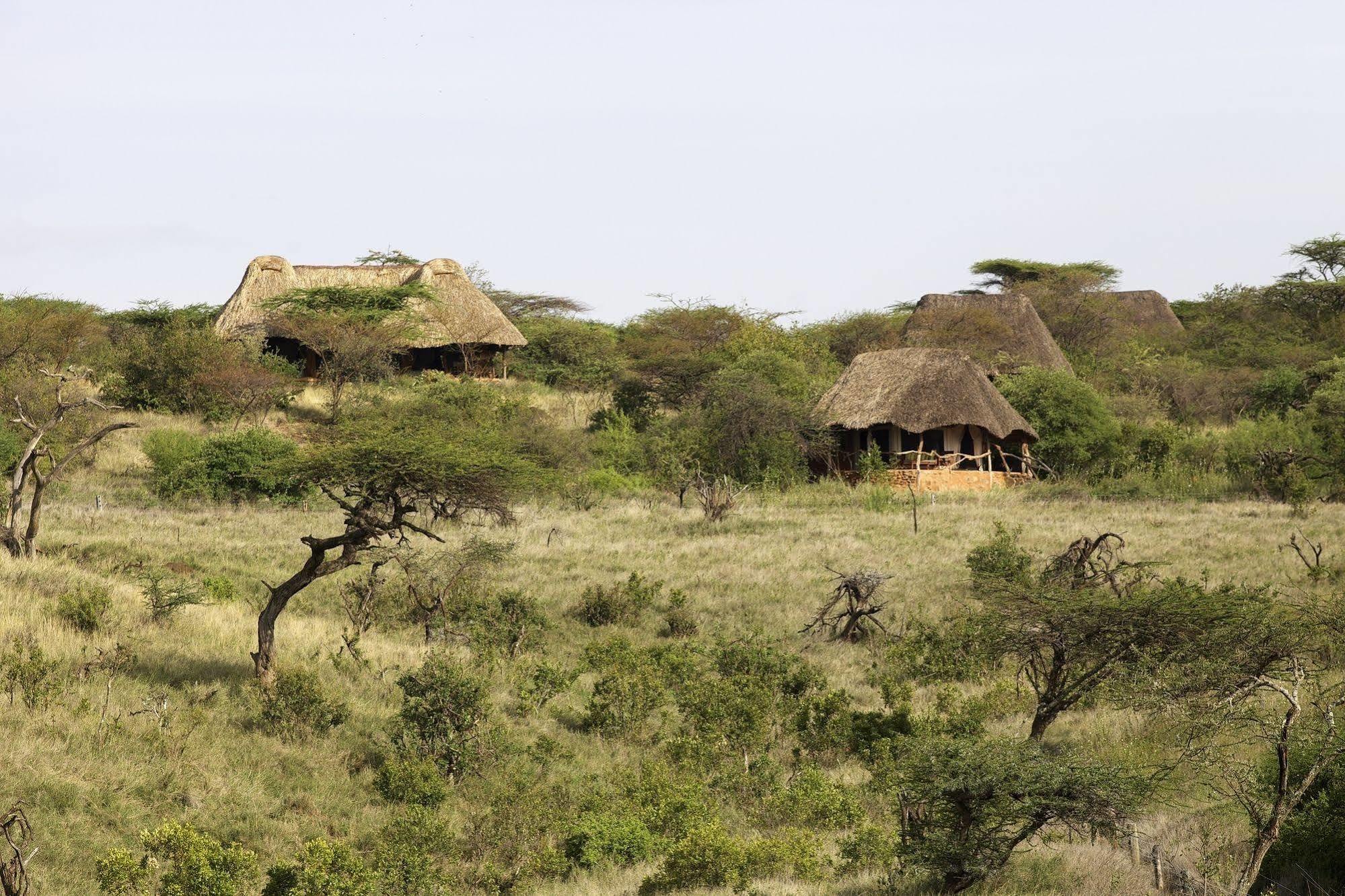 فندق Elewana Lewa Safari Camp Timau المظهر الخارجي الصورة