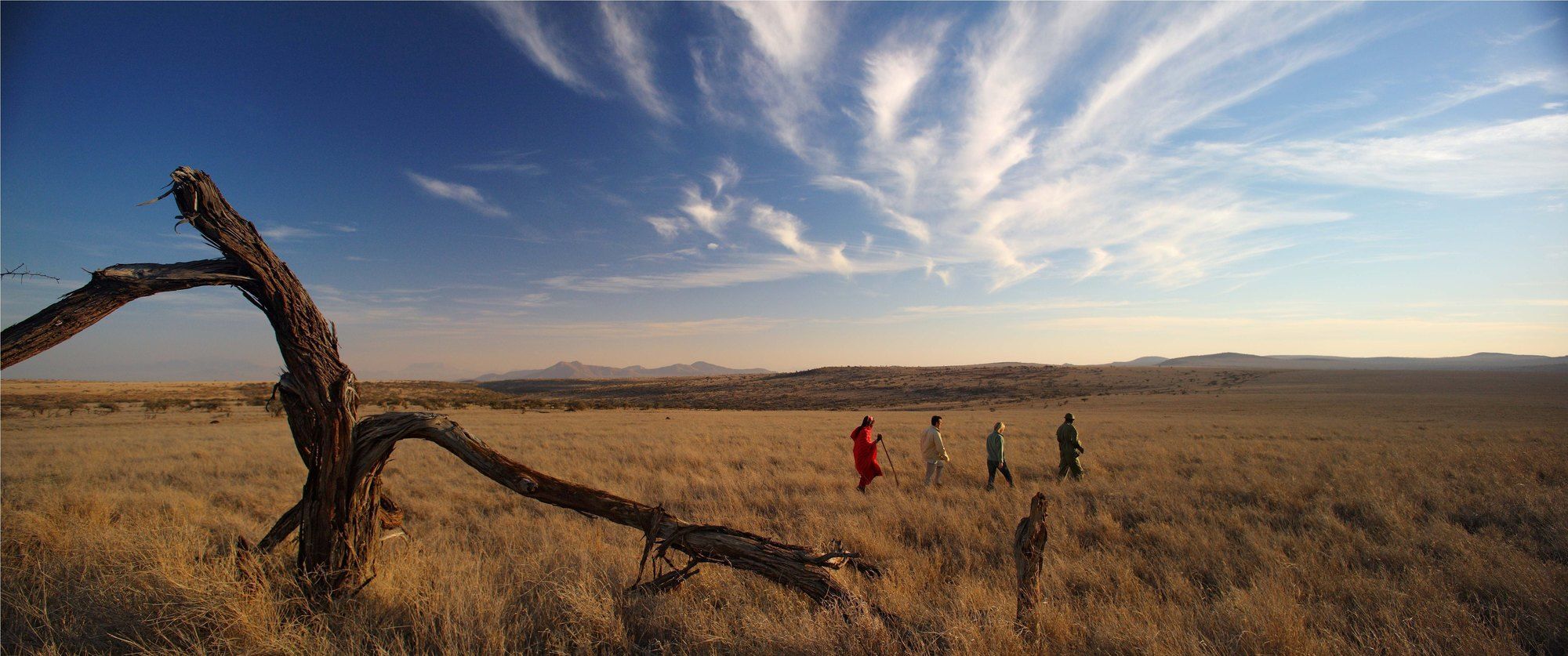فندق Elewana Lewa Safari Camp Timau المظهر الخارجي الصورة