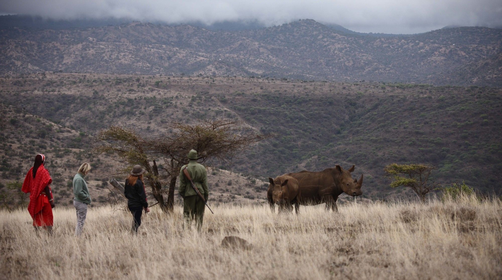 فندق Elewana Lewa Safari Camp Timau المظهر الخارجي الصورة